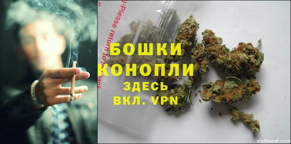 дживик Нея