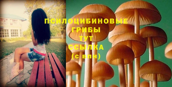 амф Валдай