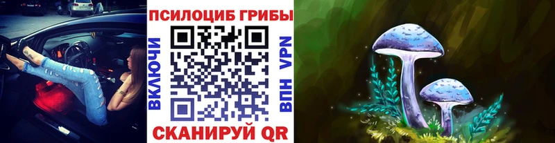 Псилоцибиновые грибы мицелий МЕГА зеркало Новосиль закладка